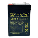 Lucky Sky 6V 2.9Ah Sealed Lead Acid Battery – Emergency Light & Lantern Backup