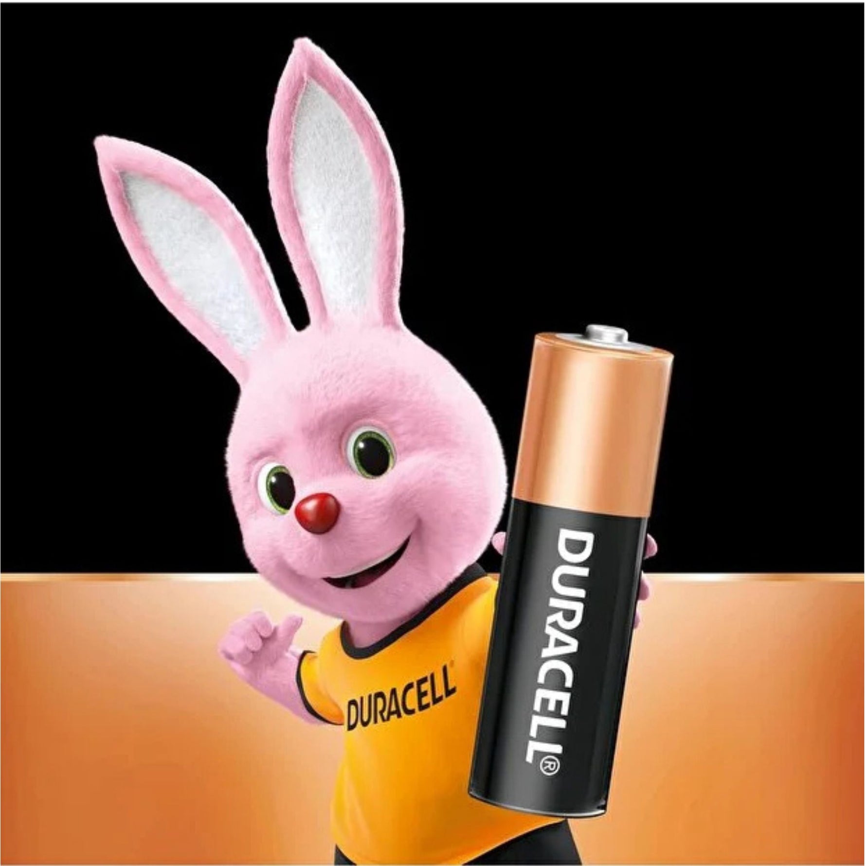 Duracell AAA Alkaline Batteries – 20 Pack